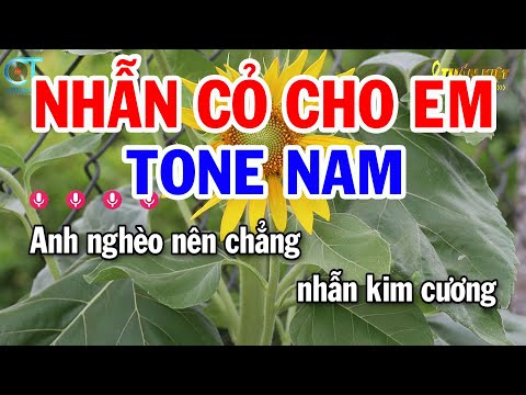 Karaoke Nhẫn Cỏ Cho Em Tone Nam ( Em ) Nhạc Sống Mới || Karaoke Tuấn Kiệt