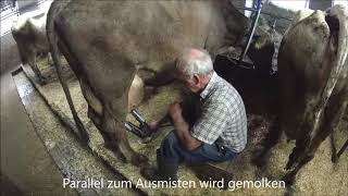 Tagebuch eines freiwilligen Helfers 13