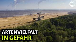 Die Artenretter ‒ Im Einsatz für den Planeten (Teil 2) | Erlebnis Erde