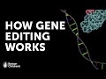 CRISPR-Cas9 Mechanism and Applications
