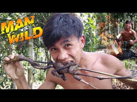 Bird Trap Technology ll Bird Food ll Man vS Will ll डिस्कवरी Bird Trab Technology Video ll B Boys