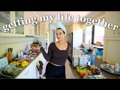 getting my life together (meal prep, car shopping, upgrading my style, home projects)