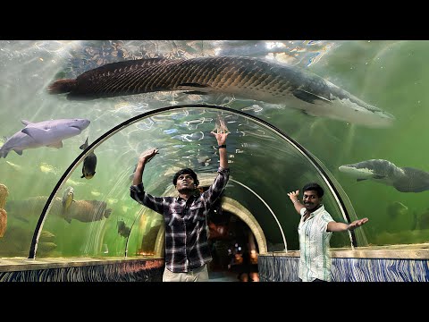 GIANT MONSTERS🤯Floating Over My Head🥶 Under water🌊/JENISH KJ