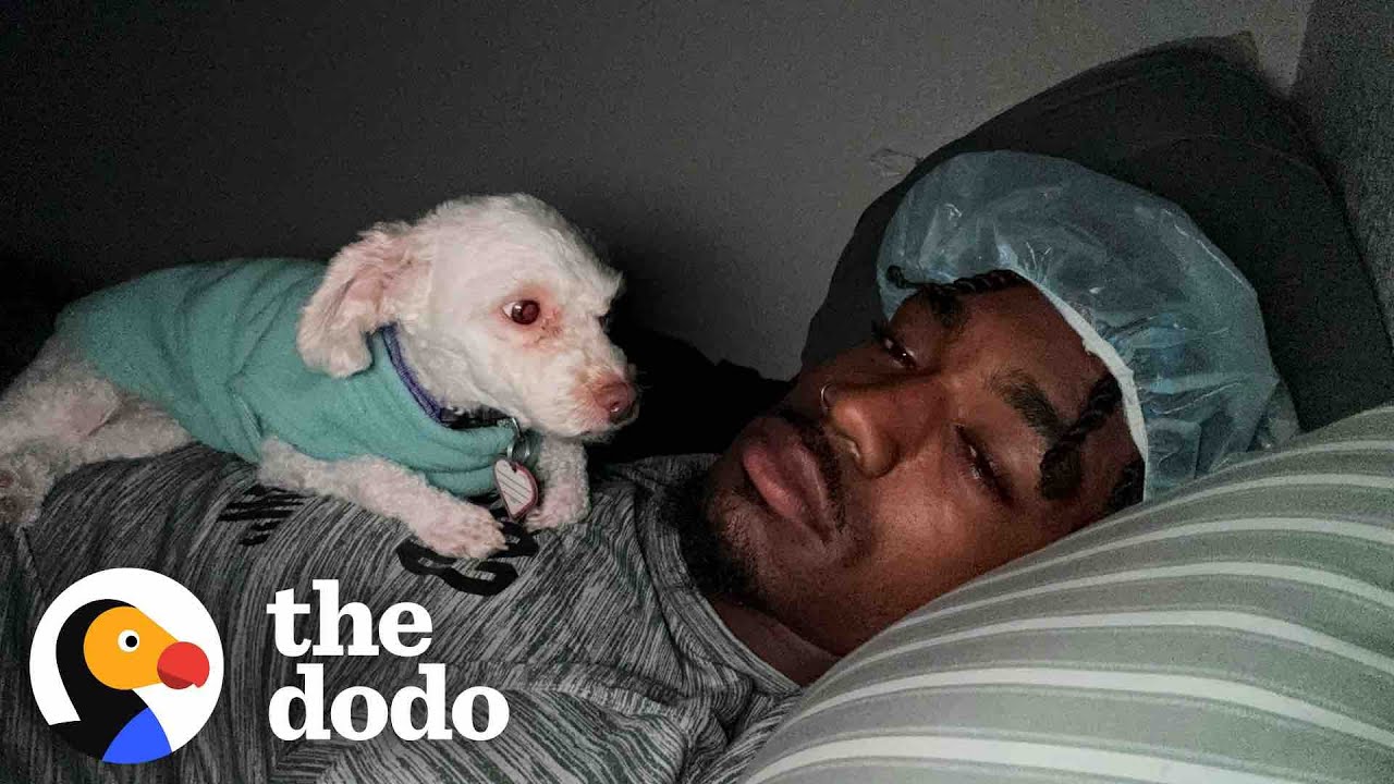 Colorado Football Player Finds Dog While Hiking