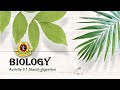 Enzyme Activity and Starch Testing