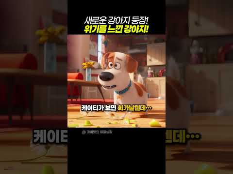 새로운 강아지 등장 위기를 느낀 강아지