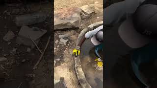 Cleaning watertank in temple areas for cows #help #india #youtubeshorts