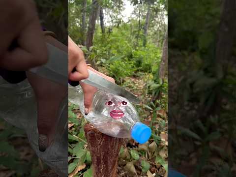 Smart idea of forest survival #camping #outdoor #bushcraft #survival