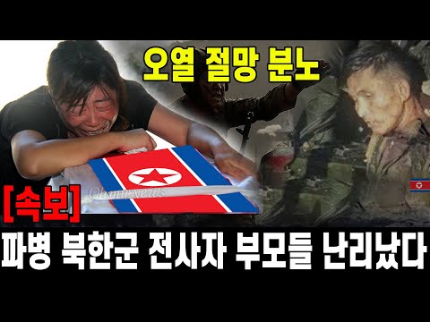 [속보] 우크라 파병 북한 전사자 부모들 분노 오열 절망 난리났다...이 정도일 줄 몰랐다