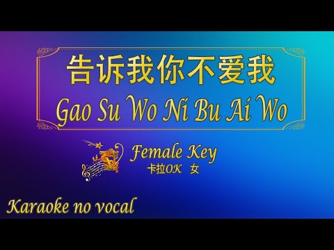 告訴我你不愛我 【卡拉OK (女)】《KTV KARAOKE》 – Gao Su Wo Ni Bu Ai Wo (Female)