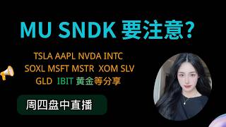 9/1MU SNDK INTC等要注意了？NVDA AAPL GOOGL MSFT CRCL MSTR等又怎么看黄金等又怎么看？