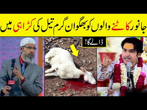 Bakra Eid 2024 - Bageshwar Dham Sarkar VS Dr Zakir Naik 2024 - Peace Tv