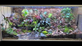Building an ecosystem LIVE with @AntScapes1 Part 5