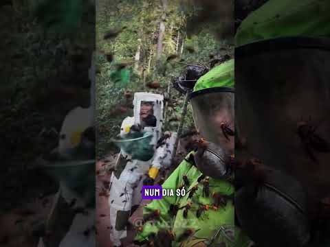 O MAIS PERIGOSO da Amazônia NÃO É a Onça!