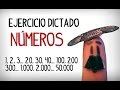 Dictado de Números en Español