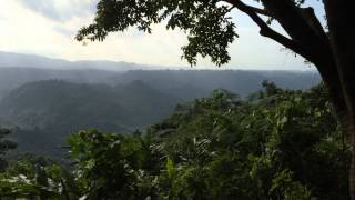 IMG 1560