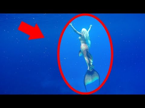 حوريات بحر يعتقد أنها حقيقية بعد النجاح في تصويرها..!!!
