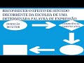 Interpretação de Expressões e Contextos