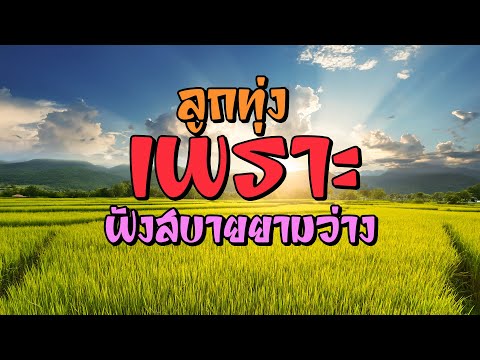 ลูกทุ่งเพราะ ฟังสบายยามว่าง