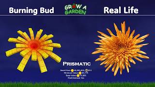 Roblox Grow a Garden ALL CROPS IN REAL LIFE (currently OBTAINABLE) Grow a Garden IRL