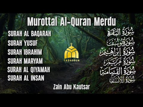 MUROTAL QURAN MERDU | Surah Al Baqarah,Yusuf,Ibrahim,Maryam,Al Qiyamah,Al Insan | Zain Abu Kautsar