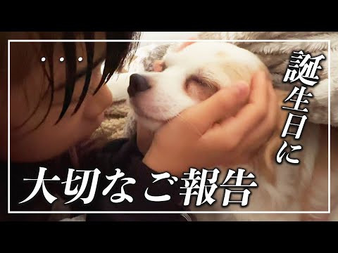 ずっと伝えられなかったこと。愛犬🐶の誕生日に大切なご報告と、今後の動画について。