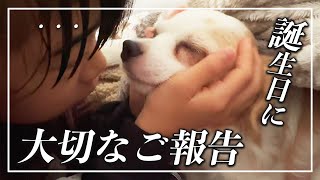 ずっと伝えられなかったこと。愛犬🐶の誕生日に大切なご報告と、今後の動画について。
