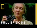 Chimpanzee Research and Life of Jane Goodall