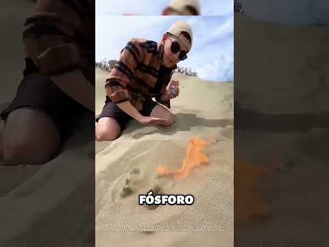 Se você encontra isso no deserto você pode ficar milionario #curiosidades