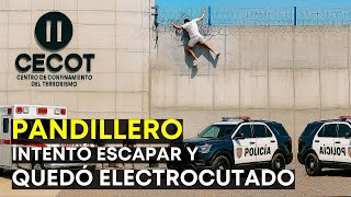 El SALVADOR HOY 22 de Julio 2025, Noticias de El Salvador 22 de Julio 2025, EL SALVADOR pandilleros