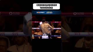 Вот чем ЭЛИТНЫЙ БОКСЁР отличается от ЧЕМПИОНА #shorts