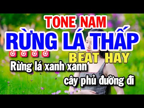 Rừng Lá Thấp Karaoke Tone Nam (Am) Nhạc Sống Beat Hay | Huỳnh Lê