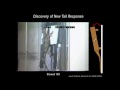 Biomutualism and Gecko-Inspired Innovations