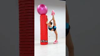 Spot the Rule Breaker!😮👉❤️ #flexibilitychallenge