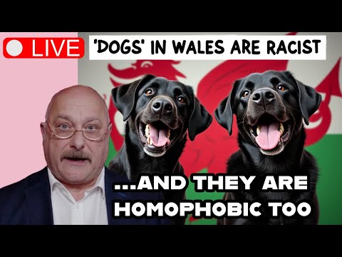 Welsh to ban 'racist' dogs!