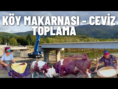 EV YAPIMI MAKARNA ,  CEVİZ HASADI ,  KÖPRÜ İNŞAATI
