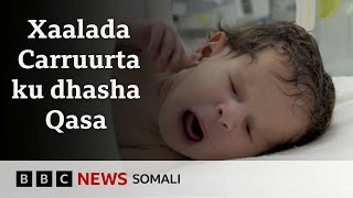 Haweenka Qasa ayaa dhalaya carruur dhicis ah ka dib saameynta sunta qaraxyada iyo barakaca.