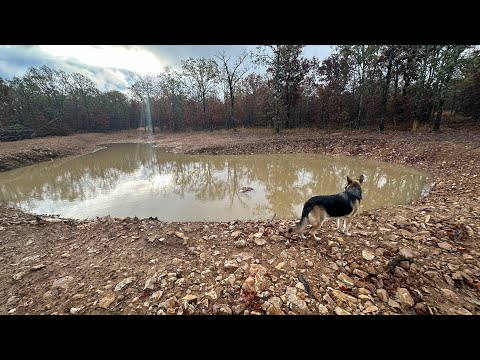 Everyone Thought We Made A Big Mistake With Our Pond Build But Did We?