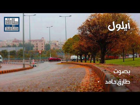 في أيلول | طارق حامد