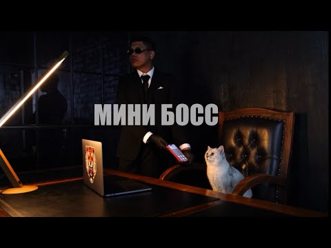 Тизер к треку «МИНИ БОСС»😼 Полная версия🔥 #котики