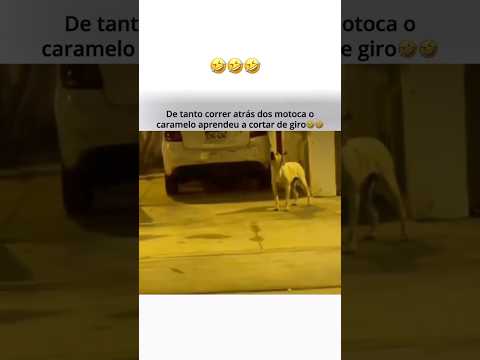 Cortou de giro ou é impressão minha ?😂😂 #memes #humor