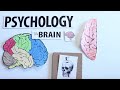 Understanding the Human Brain