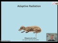 Evolutionary Patterns and Processes