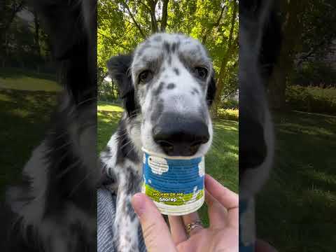 Подписывайтесь на наш блог в inst - iunskaya 💛