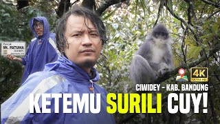 Pendakian Gunung Patuha via Gunung Sepuh - PART 2 [FREE GPX] | RTE #51