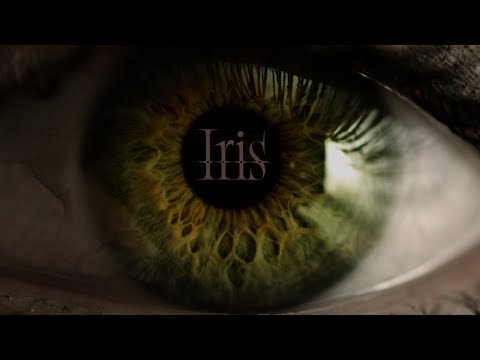 BUDDiiS「Iris」Official Music Video