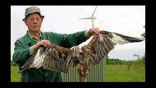 Harald Lesch redet dummes Zeugs ... Wieder mal.