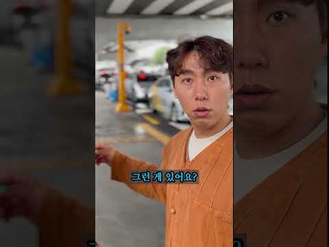 제주공항에서 서귀포까지 택시비 반값으로 가기 #제주도 #제주살이 #jeju