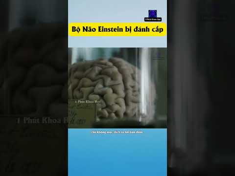 Bộ não của Einstein bị đánh cắp