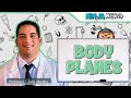 Body Planes and Sections in Anatomy